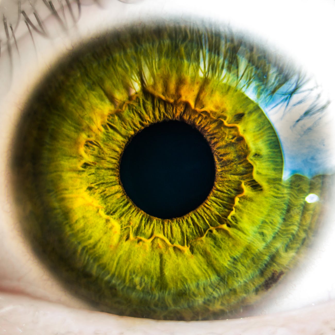 Read more about the article SILMIEN TERVEYS – mikä heikentää näköä ja mikä on hyväksi silmille?